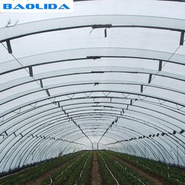 Double Arches Double Film Agricultural Growing 10X50m Single Span Greenhouse