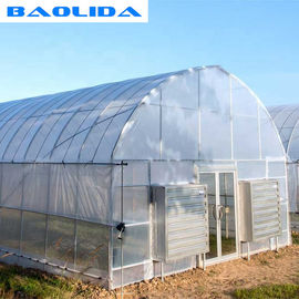 Hot Dip Galvanized Steel 4m Single SpanWaterproof Film Cover 9m Tunnel Plastic Greenhouse