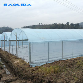 Rolling Benches Seedling Nursery Tunnel Growing 4.5m Multi Span Greenhouse