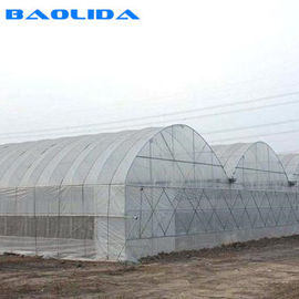 Hot Dip Galvanized Steel Wind Resistance Sides Ventilation Multi Span Greenhouse