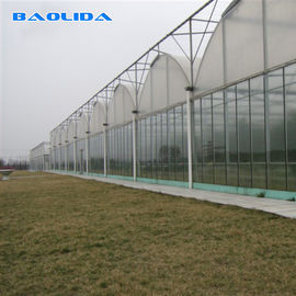 Transparent Glass Tunnel Multispan Greenhouse Plant Cultivation