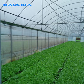 Automatic Control Polyethylene Film UV Protection Multi Span Greenhouse For Plants Growing