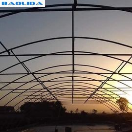 Single Span Tunnel Growing Agricultural Sun Master Plastic Film Greenhouse
