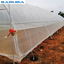 Single Span Growing UV Resistant 12m Tunnel Plastic Greenhouse