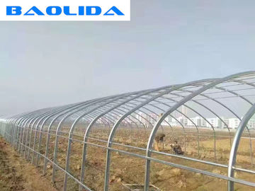 Arch Pipes Reinforced Commercial Polyethylene Film Greenhouse