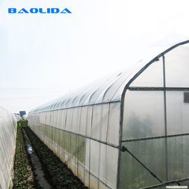 Arch Pipes Reinforced Commercial Polyethylene Film Greenhouse