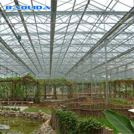 Tunnel 8mm Polycarbonate Film Greenhouse For Gardening