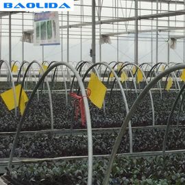 Vegetables Ebb And Flow Tray Seeding Bed Greenhouse Rolling Benches