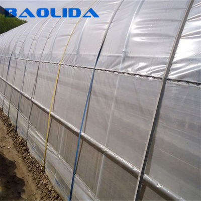 High Strength Multi Span Greenhouse UV Resistant Front Ventilation