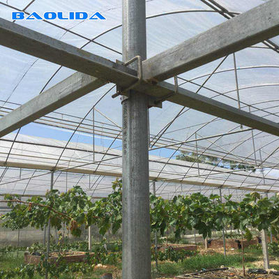 Cooling System Plastic Film200 Micron Reinforced Plastic Sheeting Greenhouse Multi Span Greenhouse