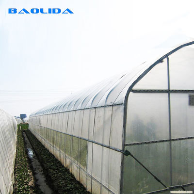 200 Micron Pe Film Greenhouse Agricultural Tomatoes Growing Tunnel Plastic Greenhouse
