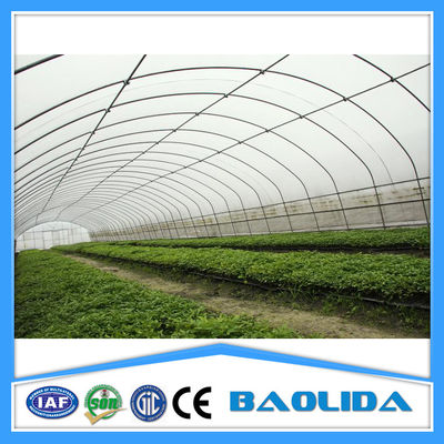 Vegetable Growing 9m Width Tunnel Plastic Greenhouse