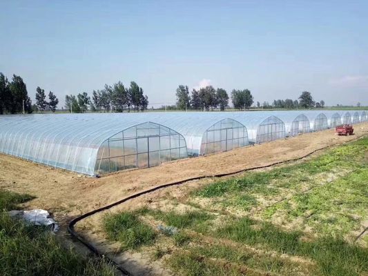 Tunnel Cover Reinforced Clear Poly Sheeting For Greenhouse