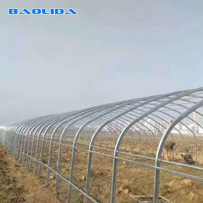 Double Arches 10m Width Tunnel Plastic Greenhouse