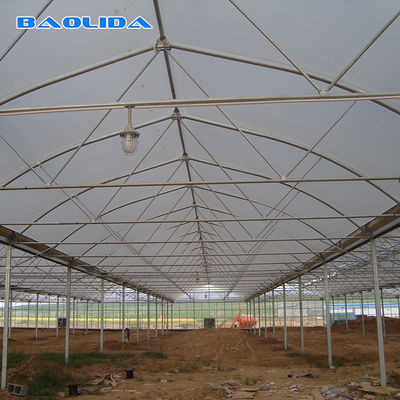 Clear 200 Micron PE Film Agricultural Greenhouse Multi Span Greenhouse