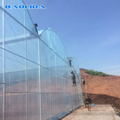 Wind Resistant Agriculture Plants Growing Hydroponic System Poly Film Multi Span Greenhouse
