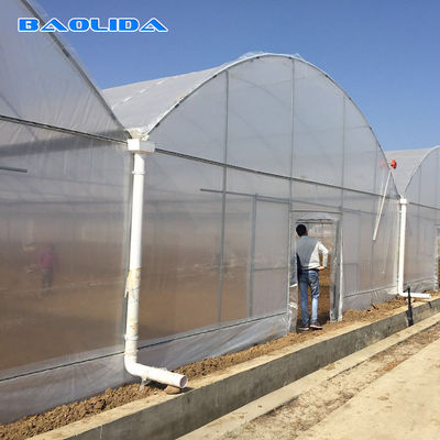 Wind Resistant Agriculture Plants Growing Hydroponic System Poly Film Multi Span Greenhouse