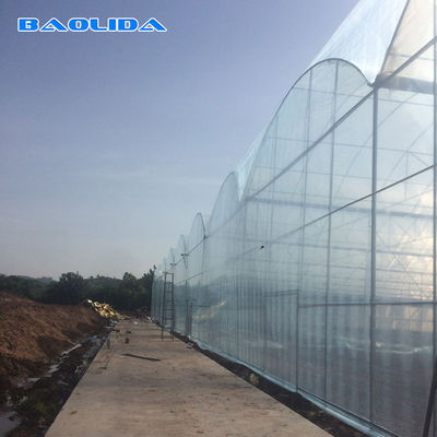 Wind Resistant Agriculture Plants Growing Hydroponic System Poly Film Multi Span Greenhouse