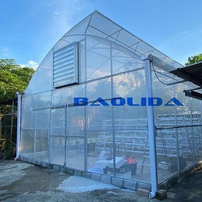 Sawtooth Type Tropic Friendly Polyethylene Film Greenhouse Multi Span Greenhouse