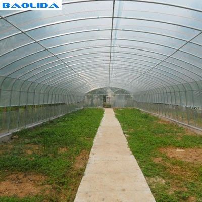 Side Ventilation  Single Span Vegetable Growing Polyethylene Film Greenhouse
