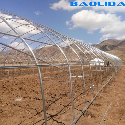 Agricultural High Hoop Arch Polyethylene Film Greenhouse For Planting