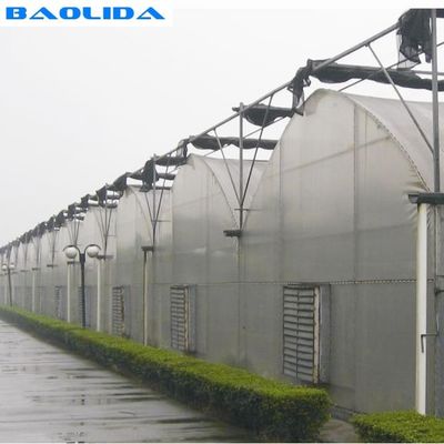 Gothic Style Multispan High Tunnel Plastic Film Multi Span Greenhouse For Tomato Growing