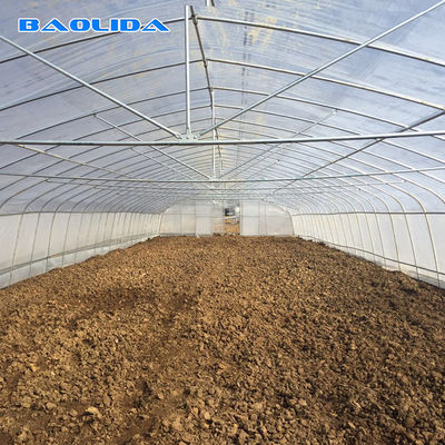 High Tunnel 150 Micron PE Film Single Span Greenhouse For Agricultural Project