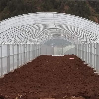 High Load Bearing Double Arch 0.06mm Poly Film Greenhouse