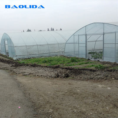 Anti Ultraviolet Large Scale Side Ventilation Plastic Single Span Tunnel Plastic Film Greenhouse