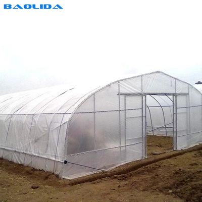 UV Resistant Single Span Clear Plastic Greenhouse