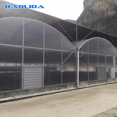 Single Layer Film Multi Span Greenhouse For Planting