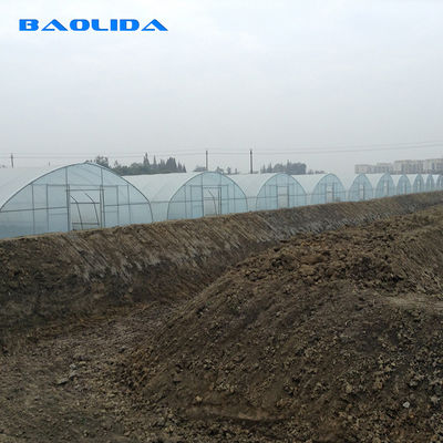 Agricultural 8m Width PE Film Single-Span Tunnel Plastic Greenhouse For Vegetables Growing