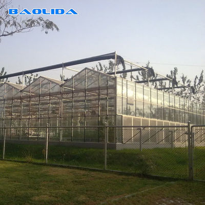 Wind Resistant Prefabricated Multi Span Greenhouse Venlo Type Greenhouse
