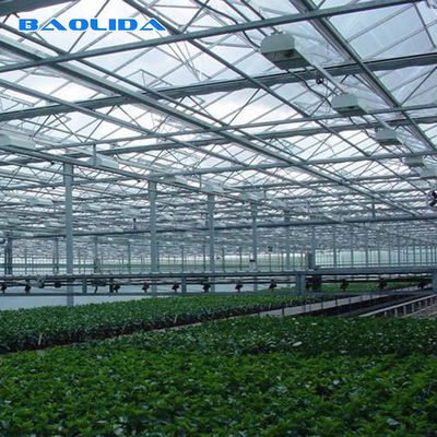 Flowers Front Ventilation Multi Span Greenhouse With Aluminum Frame