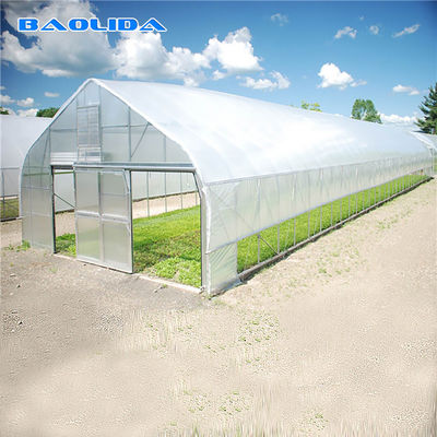 Horticultural Flower Growing Single-Span Film Tunnel Greenhouse Polyethylene Film Greenhouse