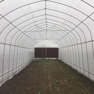 Anti Insect Sides Ventilation Galvanized Frame Tunnel Greenhouse Polyethylene Film Greenhouse