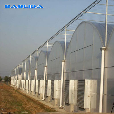 High Straight Wall Wind Resistant Multispan Greenhouse With Gutter