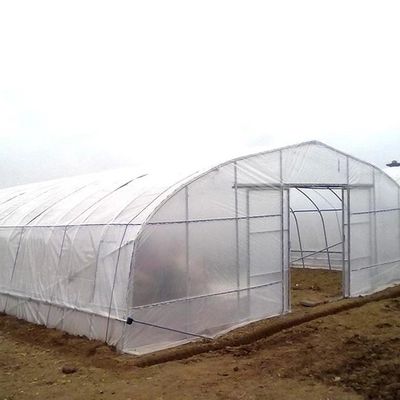 Tropical Agricultural Single Span Tunnel Plastic Film Polyethylene Film Greenhouse