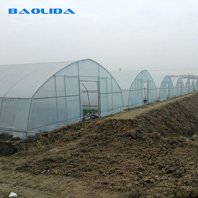Tropical Agricultural Single Span Tunnel Plastic Film Greenhouse