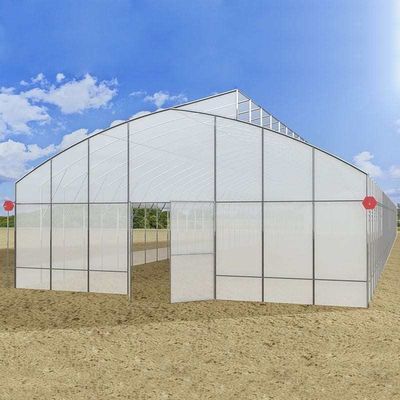 Anti Dripping Plastic Film Greenhouse 10m Width For Tomato Planting