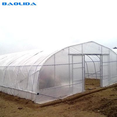 High Tunnel UV Resistant 100 150 200mic PE Plastic Sheeting Single-span Greenhouse