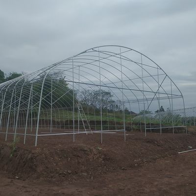 Agricultural Commercial Industrial 12m Width Anti UV PE Plastic Film Greenhouse For Crops