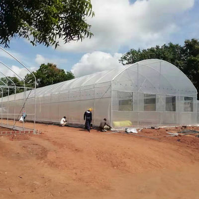Single Span Vegetable Tunnel Plastic Grow House Agricultural Galvanized