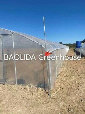 Economical Plastic Tunnel Vegetable Greenhouse Climate Control