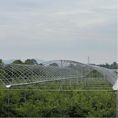 10000sqm Big Size Large Clear Plastic Film Greenhouse Grow Tent