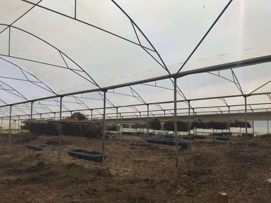 Poultry Farm Used Agricultural Plastic Warm Greenhouse Protect From Raining