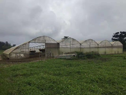 Poultry Farm Used Agricultural Plastic Warm Greenhouse Protect From Raining