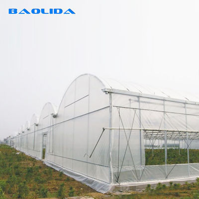 Agriculture Plants Growing Multispan Greenhouse Cooling System With Top / Sides Ventilation