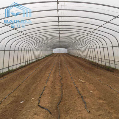 Side Ventilation Plastic Single Span Tunnel Polyethylene Film Greenhouse