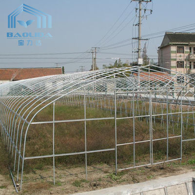 Side Ventilation Plastic Single Span Tunnel Polyethylene Film Greenhouse